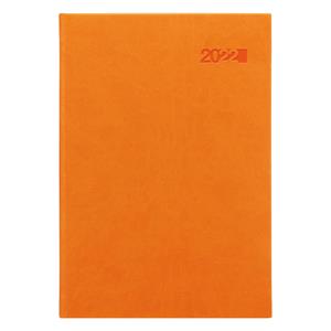 Daily diary 2022 Viva A5 - orange