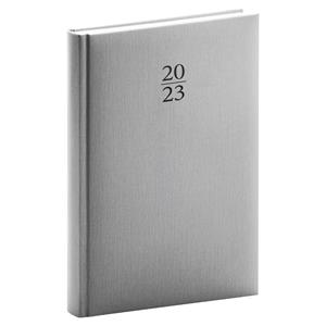 Daily Diary 2023 A5 Capys - silver