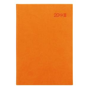 Daily Diary 2023 Slovak A5 Viva - orange