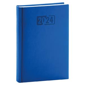 Daily Diary 2024 A5 Aprint - blue