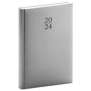 Daily Diary 2024 A5 Capys - silver