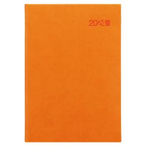 Daily Diary 2024 Slovak A5 Viva - orange