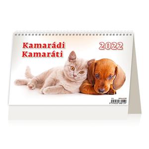 Desk Calendar 2022 - Firends