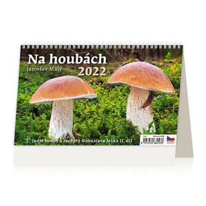 Desk Calendar 2022 - On Mushrooms