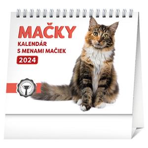 Desk Calendar 2024 Cats SK with cats names SK