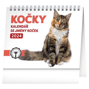 Desk Calendar 2024 Cats with cats names