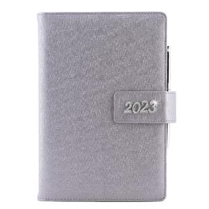 Diary BRILIANT daily B6 2023 Polish - silver