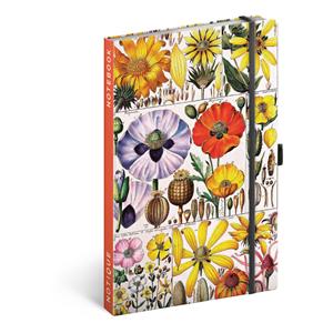 Funny Notebook Herbal Katerina Winter A5 - lined