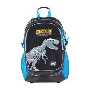 School backpack Dinosaurs