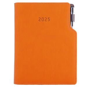 Tagebuch GEP mit Stift – täglich A5 2025 Tschechisch - Orange