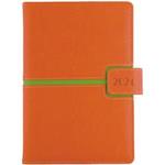 Tagebuch MAGNETIC täglichB6 2024 - orange/grün