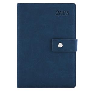 Tagebuch NEMO täglich A5 2025 Tschechisch – Blau