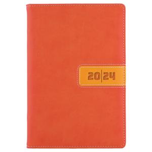 Tagebuch RIGA täglich A5 2024 Tschechisch - Orange