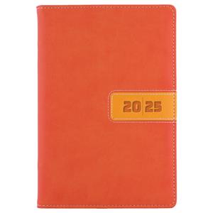 Tagebuch RIGA täglich A5 2025 Tschechisch - Orange