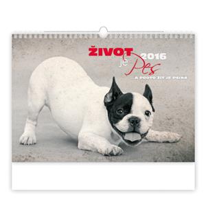 Wall Calendar 2016 A live is a dog