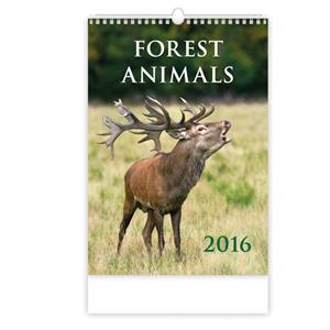 Wall Calendar 2016 Forest Animals