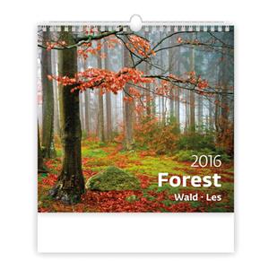 Wall Calendar 2016 Forest