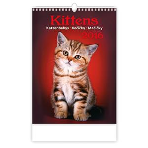 Wall Calendar 2016 Kittens