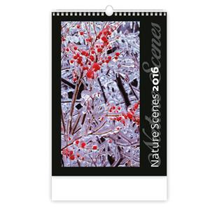 Wall Calendar 2016 Nature Scenes