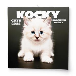 Wall Calendar 2022 Cats