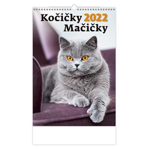 Wall Calendar 2022 - Cats