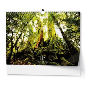 Wall Calendar 2022 Forest