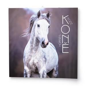 Wall Calendar 2022 Horses