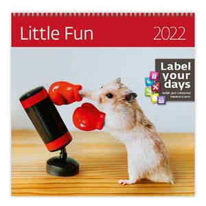 Wall Calendar 2022 - Little Fun