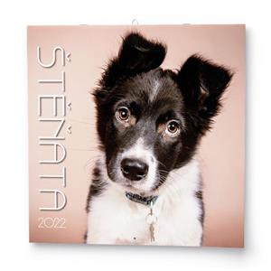 Wall Calendar 2022 Puppies