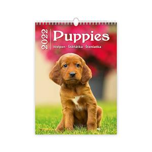 Wall Calendar 2022 - Puppies