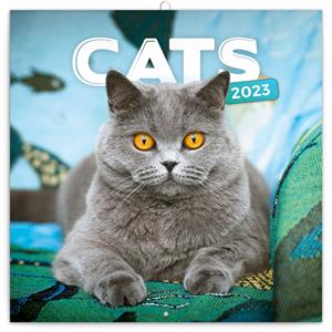 Wall Calendar 2023 Cats