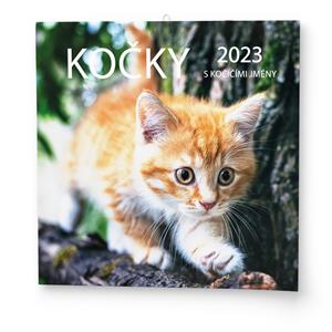 Wall Calendar 2023 Cats