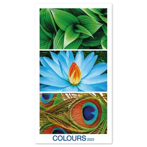 Wall Calendar 2023 - Colours