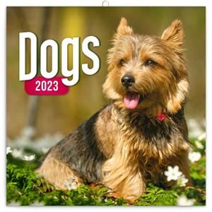 Wall Calendar 2023 Dogs