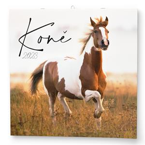 Wall Calendar 2023 Horses