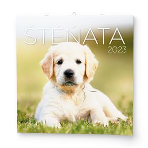 Wall Calendar 2023 Puppies