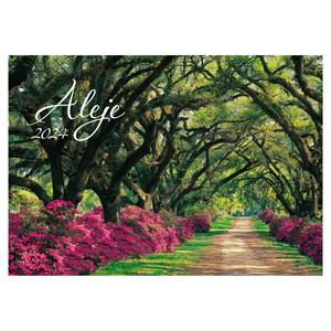 Wall Calendar 2024 - Alley