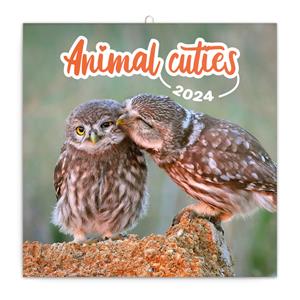 Wall Calendar 2024 Animal Cuties