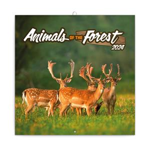 Wall Calendar 2024 Animals of the forest