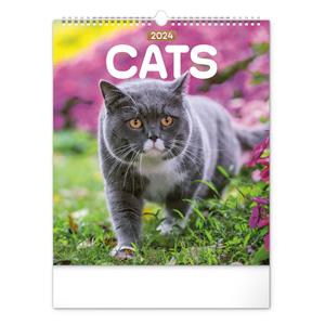 Wall Calendar 2024 Cats