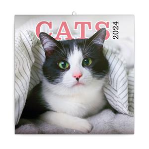 Wall Calendar 2024 Cats