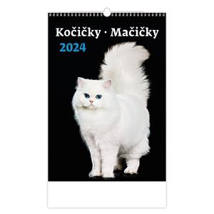 Wall Calendar 2024 - Cats