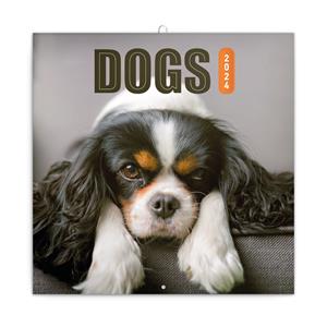 Wall Calendar 2024 Dogs