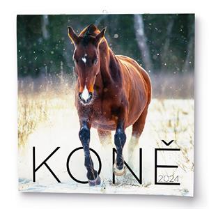 Wall Calendar 2024 Horses