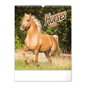 Wall Calendar 2024 Horses