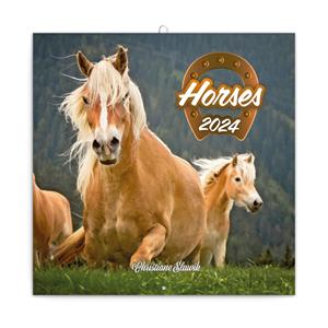 Wall Calendar 2024 Horses