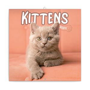 Wall Calendar 2024 Kittens