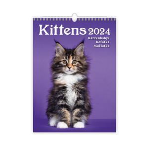 Wall Calendar 2024 - Kittens