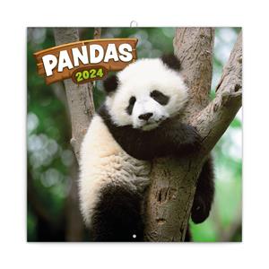 Wall Calendar 2024 Pandas