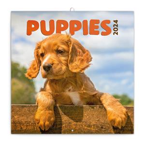 Wall Calendar 2024 Puppies